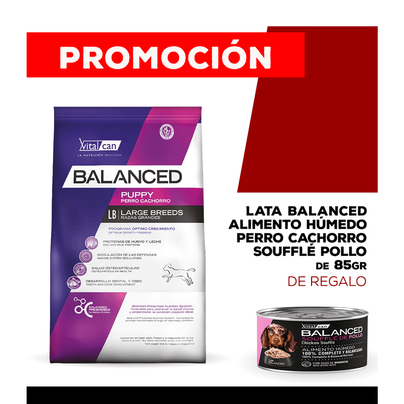 06-25-PROMOS_WEB_BALANCED_PERRO_1200x1200_CACHORRO-Pollo-85gr-06-large-1