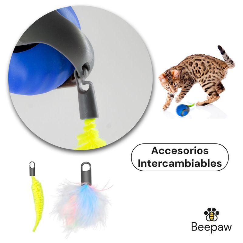 ACCESORIOS2