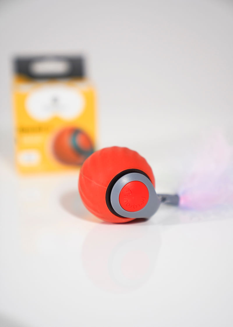 speed-e rojo -2- -1-