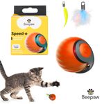PKG2 -4-