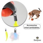 ACCESORIOS2 -2-