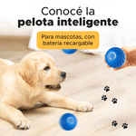 Publicacion-2