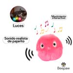 BIRD-ESONIDO