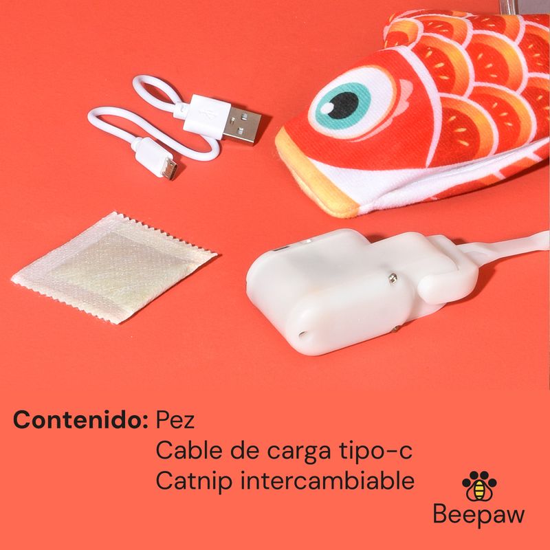 contenido2