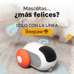 Agosto-22