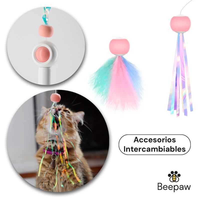 ACCESORIOS2 -3-