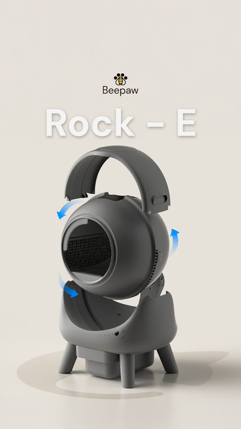 ROCK - E BEEPAW -2-