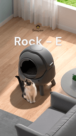 ROCK - E BEEPAW -1-