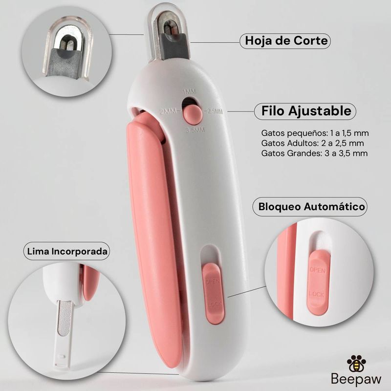 PRODUCTO1--1-