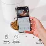 APP1