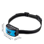 collar azul -1-