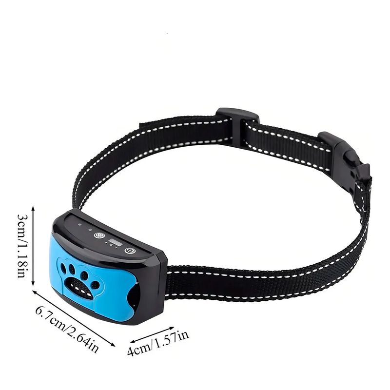 collar azul -1-