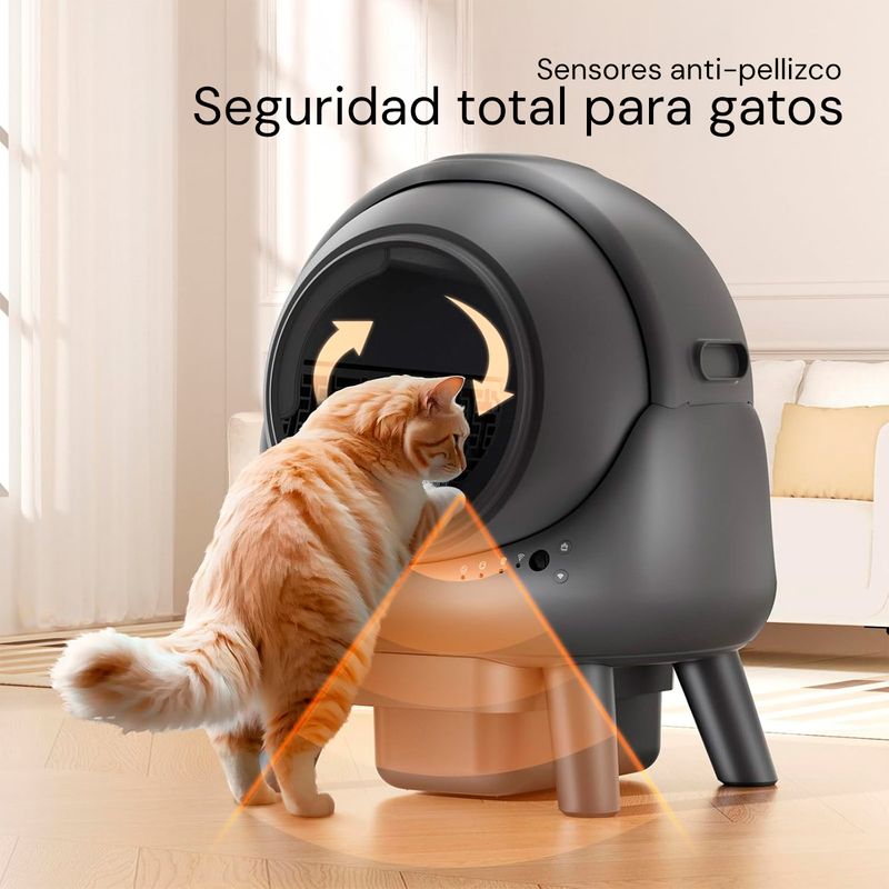 ASDMASD