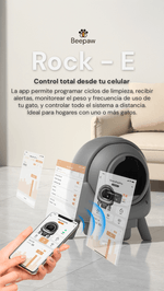 ROCK---E-BEEPAW--3-