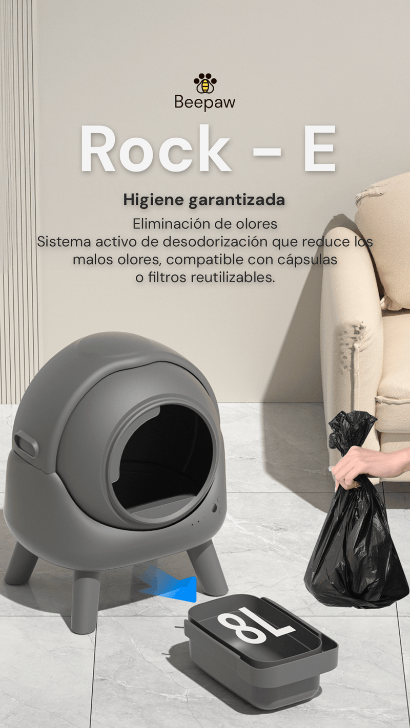 ROCK---E-BEEPAW--4-