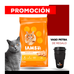 iams + vaso petba