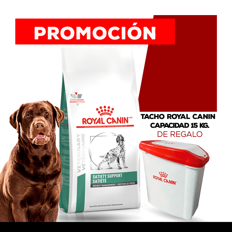 SATIETY + TACHO ROYAL