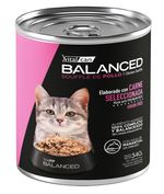 340-Gato-Cachorro-Pollo.jpg