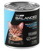 340-Gato-Adulto-Pollo.jpg