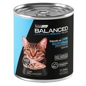 Alimento Húmedo Vitalcan Balanced Soufflé Gato Adulto Sabor Merluza Lata x 340gr